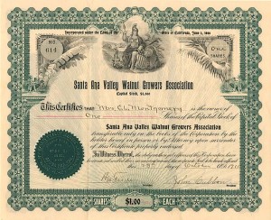 Santa Ana Valley Walnut Growers Association - 1911 dated Santa Ana Valley, California Stock Certificate